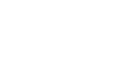 Racing With Autism Logo